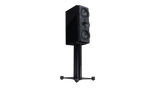 Perlisten Audio R5m Monitor Speaker